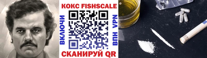 ссылка на мегу как войти  Сольвычегодск  Cocaine Fish Scale 