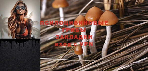 спиды Остров